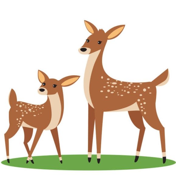 Meet your Posher - Picture 7 of 8